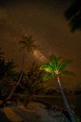 Picture of FRENCH POLYNESIA- TAHAA. PALM TREES AND NIGHT SKY WITH MILKY WAY.