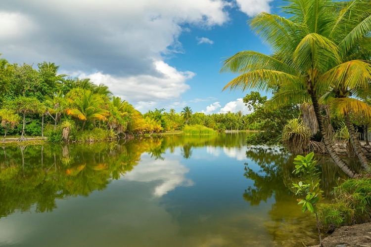 Picture of FRENCH POLYNESIA- TAHAA. TROPICAL JUNGLE REFLECTS IN LAGOON.