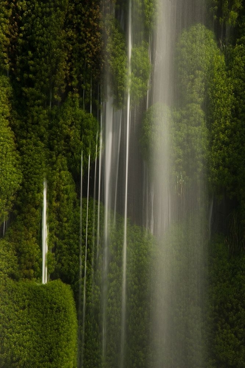 Picture of IGUAZU FALLS- BRAZIL- SOUTH AMERICA