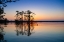 Picture of EQUATOR IN THE AMAZON RAINFOREST- PALM TREES IN LAGUNA GRANDE.