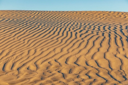 Picture of GUERRERO NEGRO- MULEGE- BAJA CALIFORNIA SUR- MEXICO. SAND DUNES AT SUNSET ALONG THE WESTERN COAST.