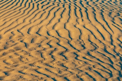 Picture of GUERRERO NEGRO- MULEGE- BAJA CALIFORNIA SUR- MEXICO. SAND DUNES AT SUNSET ALONG THE WESTERN COAST.