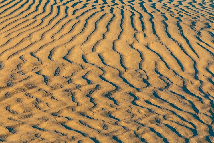 Picture of GUERRERO NEGRO- MULEGE- BAJA CALIFORNIA SUR- MEXICO. SAND DUNES AT SUNSET ALONG THE WESTERN COAST.