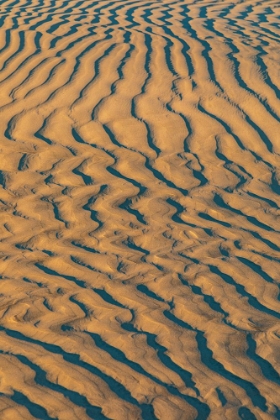 Picture of GUERRERO NEGRO- MULEGE- BAJA CALIFORNIA SUR- MEXICO. SAND DUNES AT SUNSET ALONG THE WESTERN COAST.