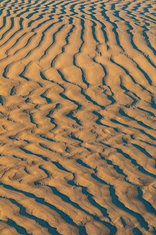 Picture of GUERRERO NEGRO- MULEGE- BAJA CALIFORNIA SUR- MEXICO. SAND DUNES AT SUNSET ALONG THE WESTERN COAST.