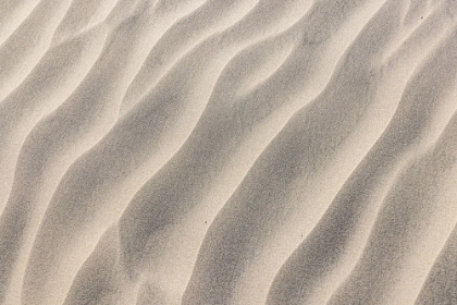 Picture of GUERRERO NEGRO- MULEGE- BAJA CALIFORNIA SUR- MEXICO. SAND DUNES ALONG THE WESTERN COAST.