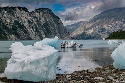 Picture of BEACHED ICEBERGS FROM NEARBY MCBRIDE GLACIER SIT ON A MUIR INLET BEACH.