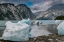 Picture of BEACHED ICEBERGS FROM NEARBY MCBRIDE GLACIER SIT ON A MUIR INLET BEACH.