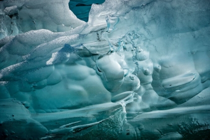 Picture of ICEBERG TEXTURES.