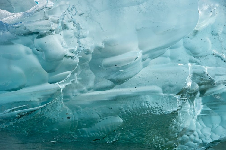 Picture of ICEBERG TEXTURES.