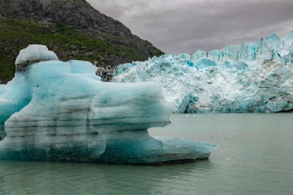 Picture of ICEBERGS FROM MARGERIE GLACIER SLOWLY MELT INTO GLACIER BAY.