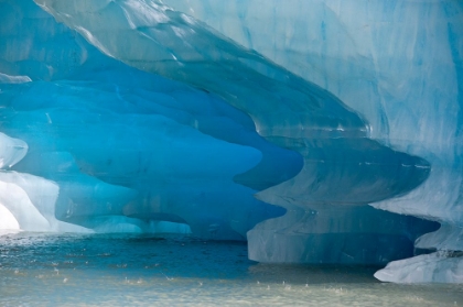 Picture of MELTING PATTERNS ARE AMAZING ON THIS ICEBERG IN SHAKES LAKE.
