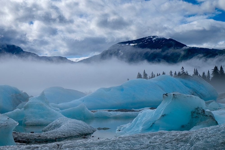 Picture of THESE BLUE ICEBERGS ARE GROUNDED IN SHAKES LAKE.