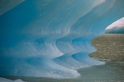 Picture of BLUE ICEBERG GLOWS IN SHAKES LAKE.