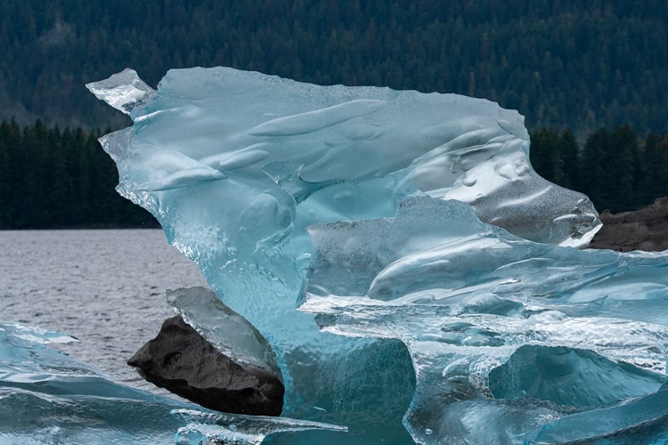 Picture of CRYSTALLINE ICEBERG SHINES IN ENDICOTT ARM.