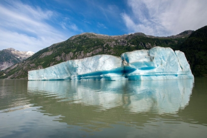 Picture of HUGE ICEBERG SLOWLY MELTS IN SHAKES LAKE.