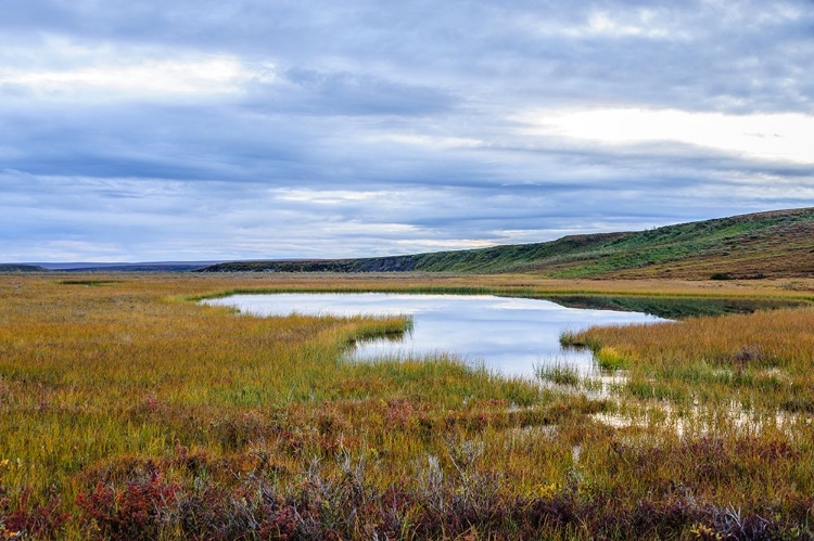 Picture of USA- ALASKA- NOATAK NATIONAL PRESERVE. WETLANDS IN THE ARCTIC TUNDRA.