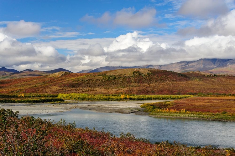 Picture of USA- ALASKA- NOATAK NATIONAL PRESERVE