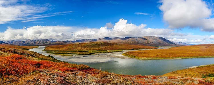 Picture of USA- ALASKA- NOATAK NATIONAL PRESERVE