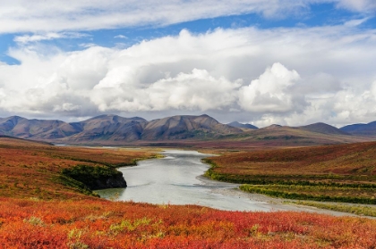 Picture of USA- ALASKA- NOATAK NATIONAL PRESERVE. ARCTIC TUNDRA IN AUTUMN COLORS ALONG THE NOATAK RIVER.