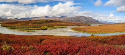 Picture of USA- ALASKA- NOATAK NATIONAL PRESERVE