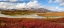 Picture of USA- ALASKA- NOATAK NATIONAL PRESERVE
