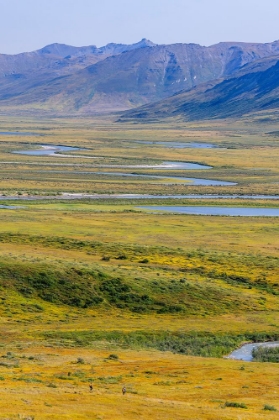 Picture of USA- ALASKA- GATES OF THE ARCTIC NATIONAL PARK- NOATAK RIVER. OXBOW BENDS ON THE UPPER RIVER.