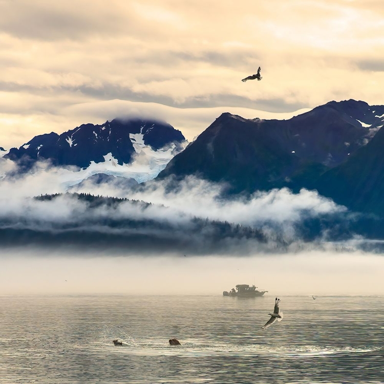 Picture of FISHING BOAT IN KENAI PENINSULA SURROUNDED BY MOUNTAINS AND WILDLIFE