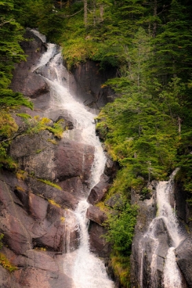 Picture of KENAI PENINSULA. TWO WATERFALLS SURROUNDED BY PINE TREES