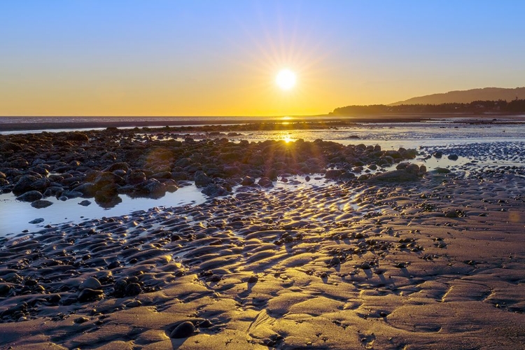 Picture of ALASKA- HOMER SPIT. A SUNSET LANDSCAPE OVER TIDE POOLS.