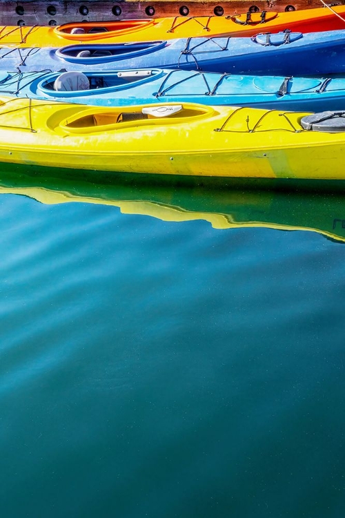 Picture of USA- ALASKA- HOMER. COLORFUL KAYAKS.