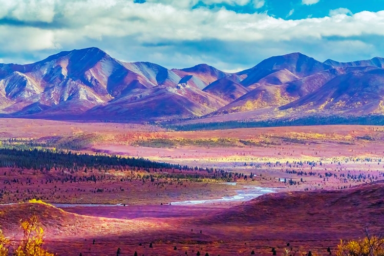 Picture of ALASKA- DENALI NATIONAL PARK. AUTUMN LANDSCAPE OF VALLEY AND MOUNTAINS.