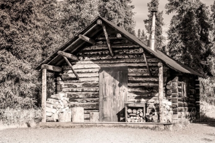 Picture of SMALL- RUSTIC LOG HOME IN SEPIA.