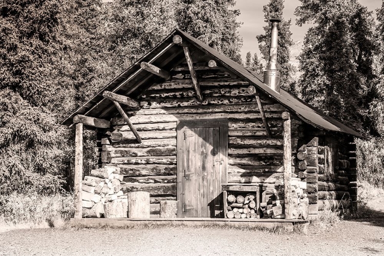 Picture of SMALL- RUSTIC LOG HOME IN SEPIA.