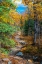 Picture of ALASKA- DENALI NATIONAL PARK. A HIKING TRAIL THROUGH FALL FOLIAGE.