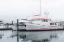 Picture of ALASKA- VALDEZ. TWO FISHING BOAT IN A FOGGY MARINA.