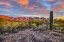 Picture of USA- ARIZONA- CATALINA STATE PARK. SUNSET LANDSCAPE WITH CATALINA MOUNTAINS AND DESERT.