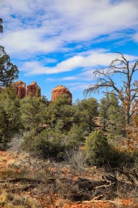 Picture of SEDONA- ARIZONA- USA. CATHEDRAL ROCK- RED ROCK FORMATIONS