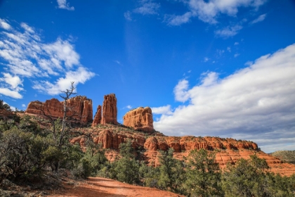 Picture of SEDONA- ARIZONA. CATHEDRAL ROCK TRAILHEAD