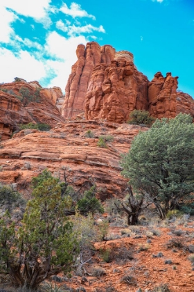 Picture of SEDONA- ARIZONA- USA. RED ROCK FORMATIONS