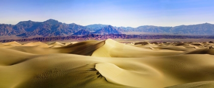 Picture of DEATH VALLEY SAND DUNES AT MESQUITE FLATS.