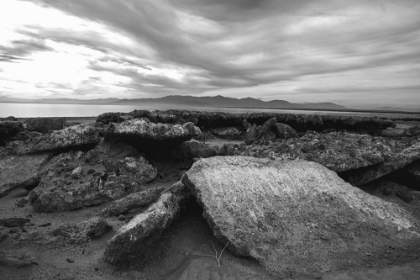 Picture of SALTON SEA- IMPERIAL VALLEY- CALIFORNIA