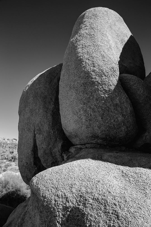 Picture of GRANITE TREE NATIONAL PARK- CALIFORNIA