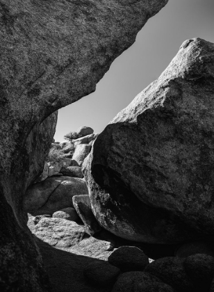 Picture of GRANITE TREE NATIONAL PARK- CALIFORNIA