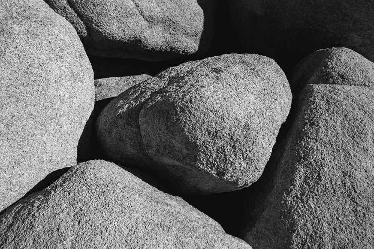 Picture of GRANITE TREE NATIONAL PARK- CALIFORNIA