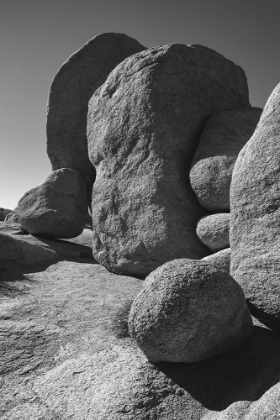 Picture of GRANITE TREE NATIONAL PARK- CALIFORNIA