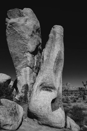 Picture of JOSHUA TREE NATIONAL PARK- CALIFORNIA