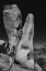 Picture of JOSHUA TREE NATIONAL PARK- CALIFORNIA