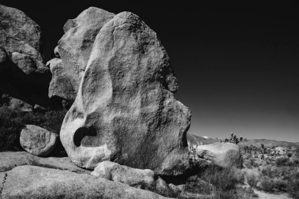 Picture of JOSHUA TREE NATIONAL PARK- CALIFORNIA