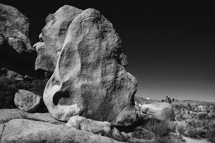 Picture of JOSHUA TREE NATIONAL PARK- CALIFORNIA